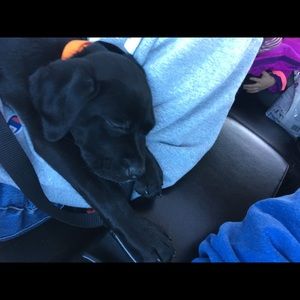 Meet your Posher, Brooke